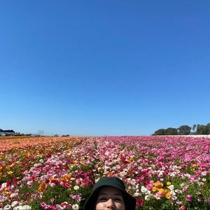 Meet your Posher, Asia